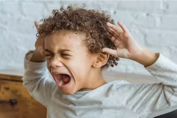 Mental Disorder Vs Normal Development: Here's What Your Child's Challenging Behaviour Trying To Tell You